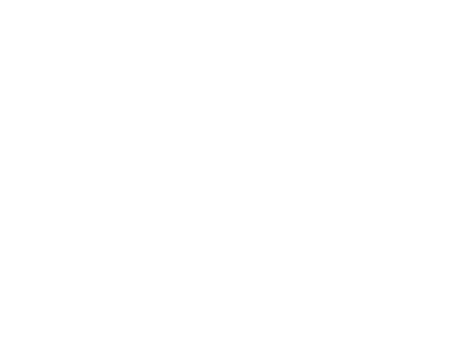 Chat Icon